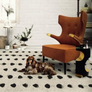 Rugs meet Incredible Modern Chairs